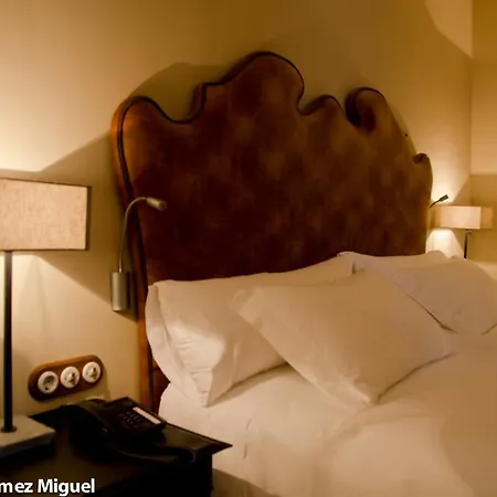 Отель Palacio Carvajal Giron 4*