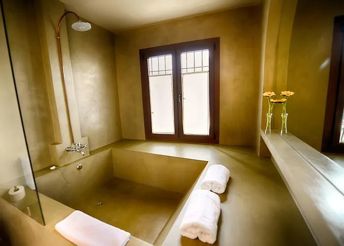 Hotel Palacio Carvajal Giron 4*